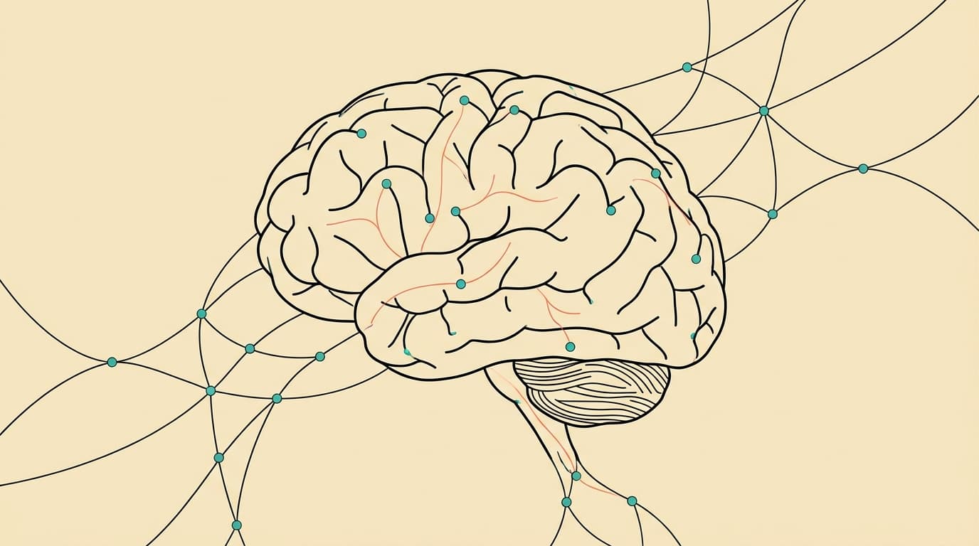 What Is Cortisol? Your Energy Hormone Explained