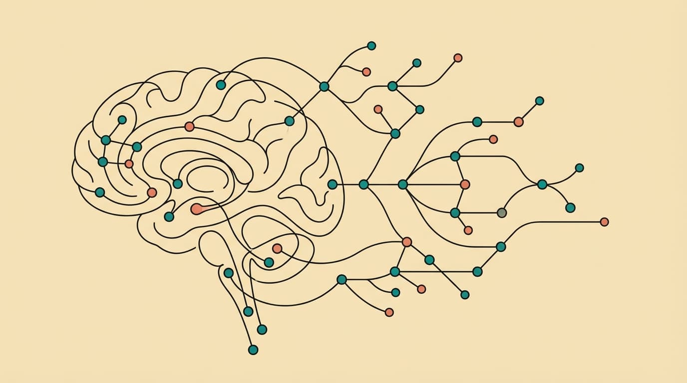 NSDR Protocol: Step-by-Step Guide (With Session Options)