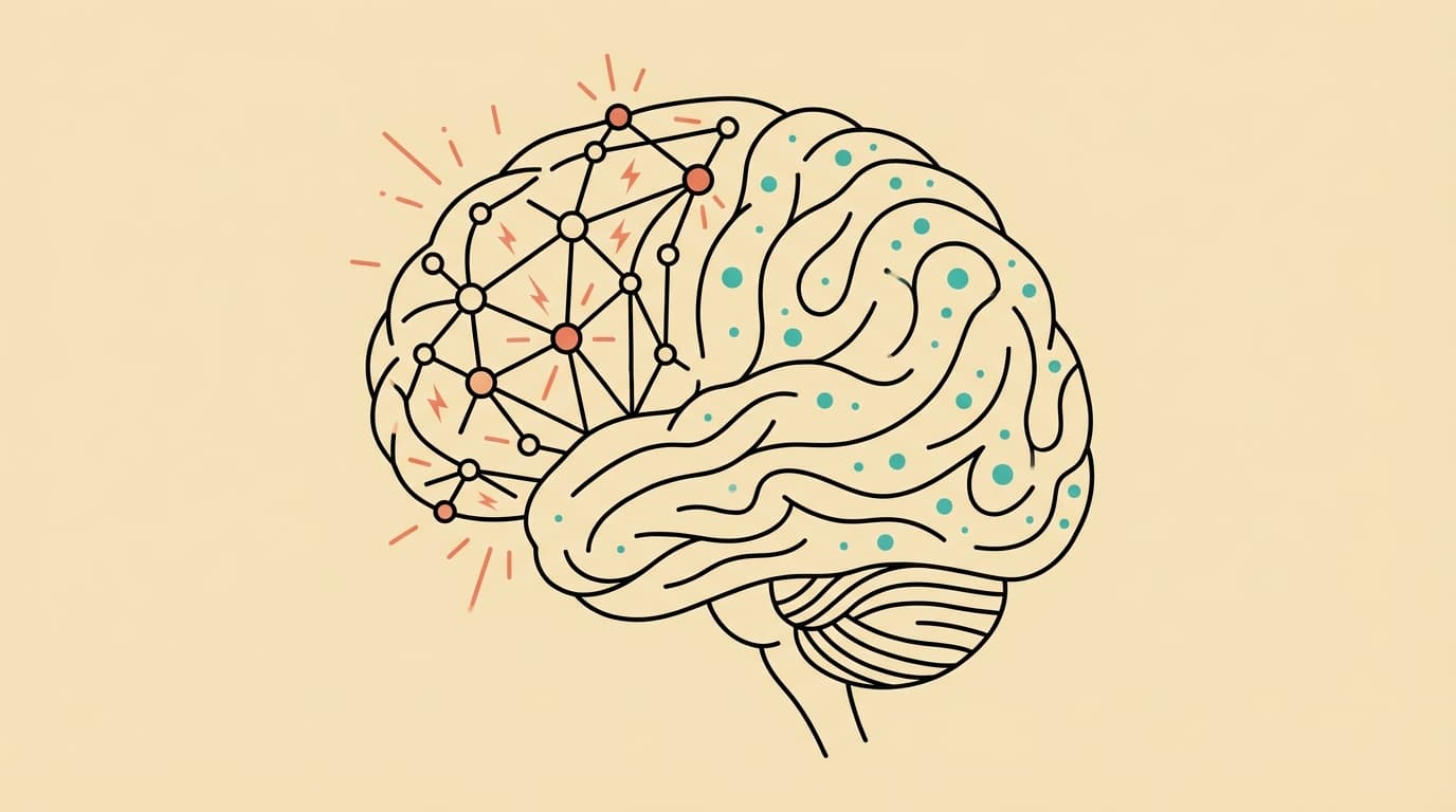 Line-art brain illustration showing the transition from active learning to restful consolidation