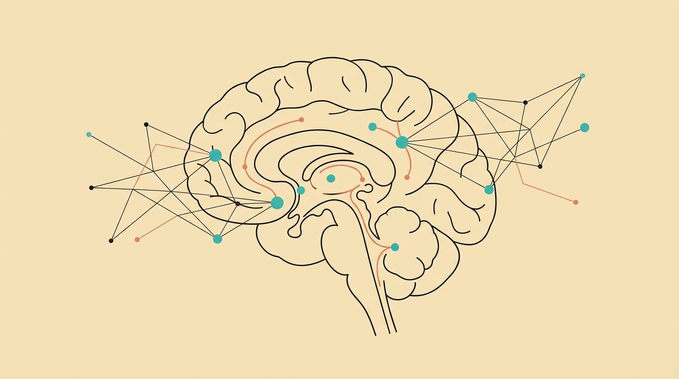 Default Mode Network: How to Work with Your Brain's Rest State