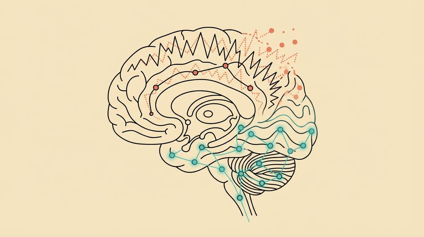 Minimalist line-art illustration of anxious beta brain waves transitioning to calm alpha theta waves