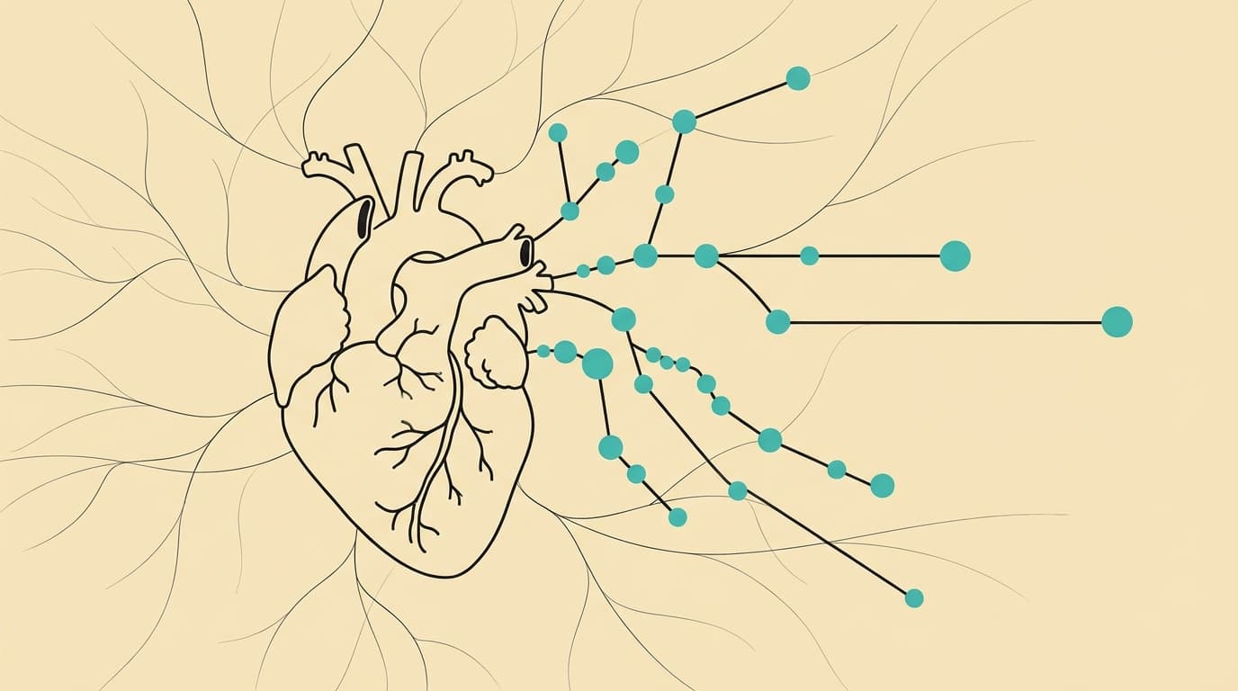 What Is HRV? Your Nervous System's Real-Time Report Card