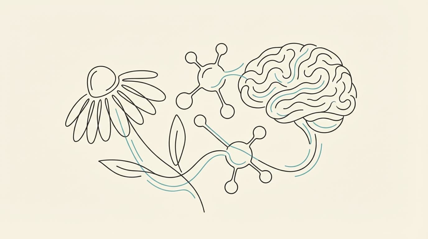 Illustration for Apigenin for Sleep: Does It Work & How to Use It
