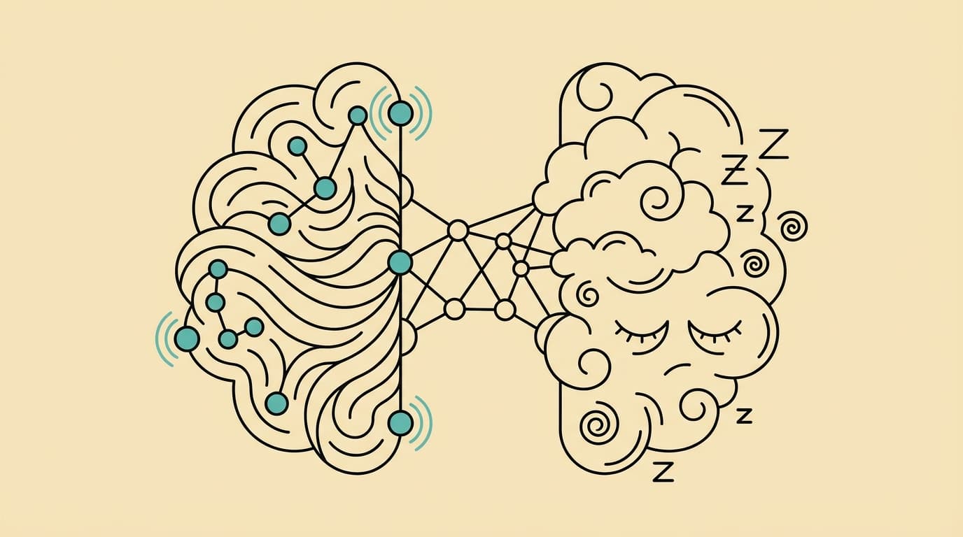 Minimalist line-art illustration comparing NSDR brain waves and napping sleep stages side by side
