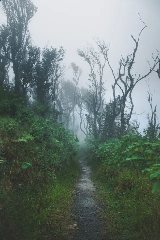 Improve Focus with Heavy Rain and Thunder Sounds